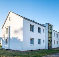 Moderne 3-Zimmer-Wohnung mit neuem Laminatboden! - Celle Altenhagen