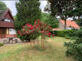 Foto - Einfamilienhaus in Leipzig zum Kaufen