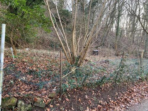 Foto - Grundstück in Marburg