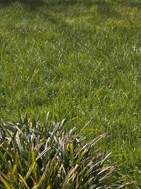 Foto - Büro,Keller, 2 Zimmer - 1.200,00&nbsp;EUR Kaltmiete, ca.&nbsp; 50,00&nbsp;m&sup2;