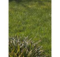 Büro,Keller, 2 Zimmer - 1.200,00&nbsp;EUR Kaltmiete, ca.&nbsp; 50,00&nbsp;m&sup2; in Münster (PLZ: 48143)