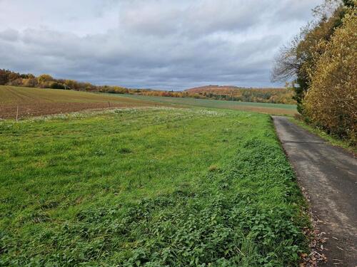 Foto - Gartengrundstück zu verpachten - 150,00 EUR Kaltmiete, ca.  0,00 m²