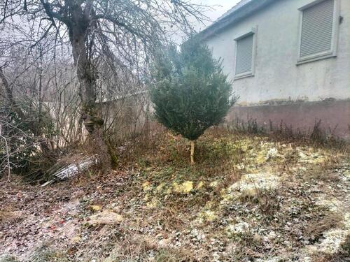 Foto - Haus zu vermieten - 500,00&nbsp;EUR Kaltmiete, ca.&nbsp; 100,00&nbsp;m&sup2;