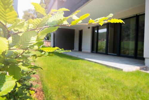 Foto - andere in Trier