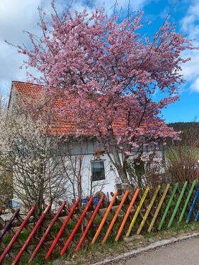 Foto - Einfamilienhaus in St.Georgen Langenschiltach