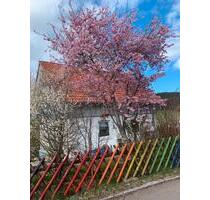 Einfamilienhaus in St.Georgen Langenschiltach - Sankt Georgen im Schwarzwald