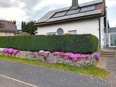 Foto - 1 Zimmer Einfamilienhaus zur Miete in Wenden