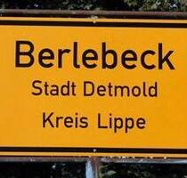 3,5 Zimmer, möblierte Küche, Bad, Garten, Garage, Stellplatz - Detmold Hiddesen