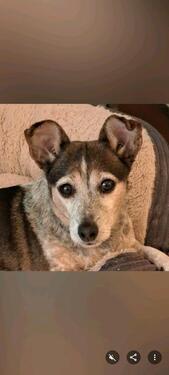 Foto - Wohnung in Neustadt in Holstein und Umgebung