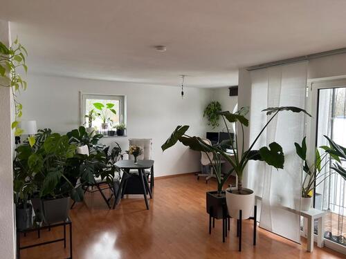 Foto - Etagenwohnung in Ulm zur Miete