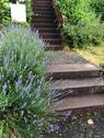 Foto - 7 Zimmer Einfamilienhaus in Trossingen