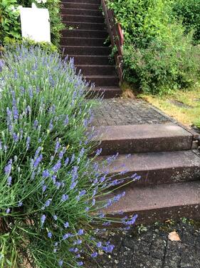 Foto - 7 Zimmer Einfamilienhaus in Trossingen