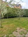 Foto - Modernesiertes Familienhaus mit Garten bewohnbar + Ausbauservice