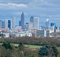 Helle 2- Zimmer Wohnung mit Skyline Blick - Eschborn