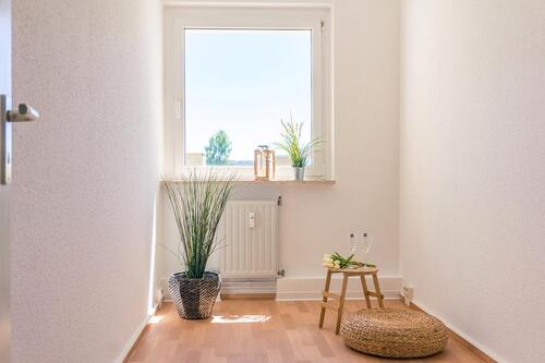 Foto - Erdgeschoßwohnung in Chemnitz zur Miete