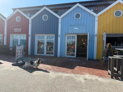 Foto - Wohnung zu vermieten - 465,00&nbsp;EUR Kaltmiete, ca.&nbsp; 65,00&nbsp;m&sup2;