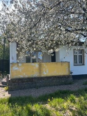 Foto - Grundstück in Eilenburg zur Miete
