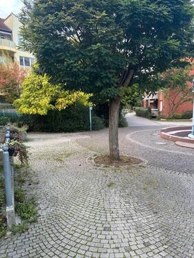 Foto - Einfamilienhaus in Baunatal