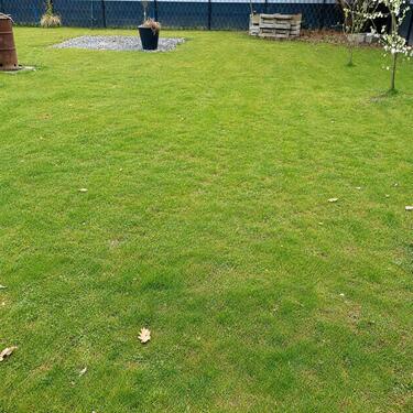 Foto - 4 Zimmer Einfamilienhaus in Hille