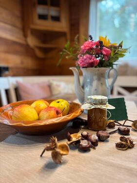 Foto - andere in Offenhausen