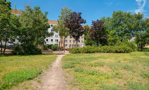 Foto - Etagenwohnung in Neubrandenburg