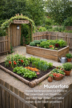 Foto - Gartenparzellen in der Innenstadt von Stadtlohn – bald verfügbar