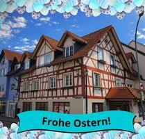 Moderne 2-Zimmer-Wohnung im EG mit EBK – frisch saniert & zentral in Stockach