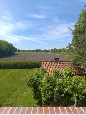 Foto - 2 Zimmer Etagenwohnung zum Kaufen in Großefehn