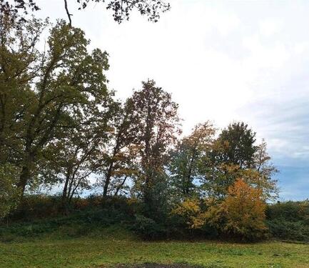 Foto - Außenstellplatz zu vermieten (Autos, Wohmwagen, Boote, etc.)