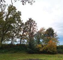 Außenstellplatz zu vermieten (Autos, Wohmwagen, Boote, etc.) - Xanten