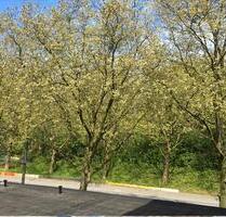 City Wohnung Hamburg Hamm - 320.000,00&nbsp;EUR Kaufpreis, ca.&nbsp; 58,00&nbsp;m&sup2; in Hamburg (PLZ: 20537) Borgfelde