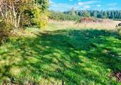 Foto - 7 Zimmer Einfamilienhaus in Ursensollen
