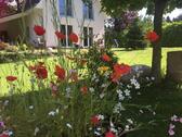 Foto - Ruhe. Natur. Zuhause. – Modernes Haus inmitten einer Waldoase