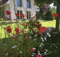 Ruhe. Natur. Zuhause. – Modernes Haus inmitten einer Waldoase - Ahlerstedt