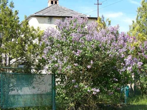 Foto - Charmantes Bauernhaus in ruhiger Naturlage bei Csabrendek