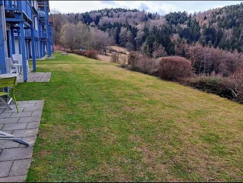 Foto - Etagenwohnung zum Kaufen in Schöfweg