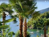 Foto - Ferienwohnung in Cannobio-Lago Maggiore