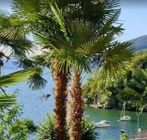 Ferienwohnung in Cannobio-Lago Maggiore - Heiningen