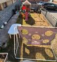 Foto - Reihenhaus in Landstuhl zum Kaufen