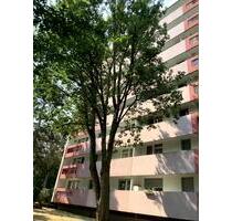 Frisch modernisierte 3-Zimmer-Wohnung mit Balkon zu vermieten! - Frankfurt am Main Eschersheim