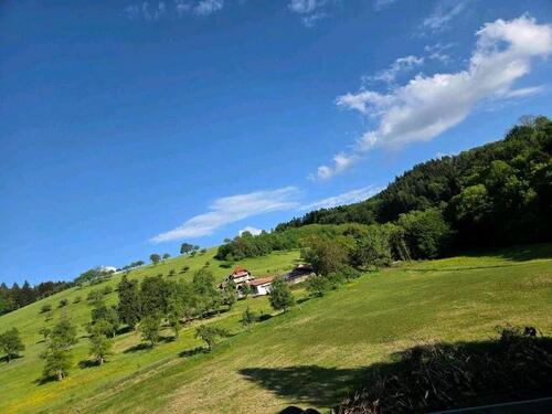 Foto - 