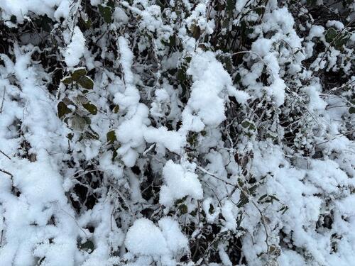 Foto - andere zur Miete in Sundern (Sauerland)