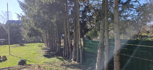 Foto - Grundst&uuml;ck in Eltville am Rhein zur Miete