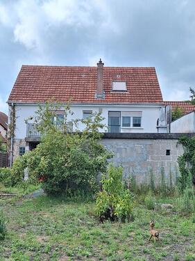 Foto - 11 Zimmer Mehrfamilienhaus, Wohnhaus zum Kaufen in Haßloch