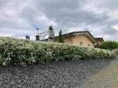Foto - kleines Apartment mit Charme - 565,00 EUR Kaltmiete,