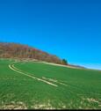 Foto - Grundstück zur Miete in Lohra