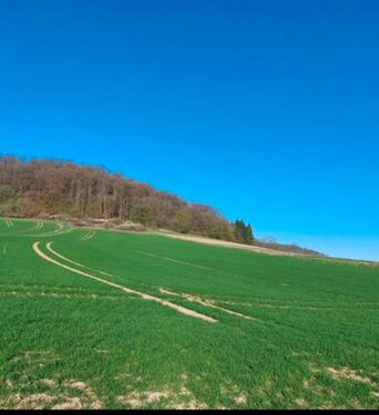 Foto - Grundstück zur Miete in Lohra