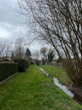 Foto - Grundst&uuml;ck zur Miete in Langgöns