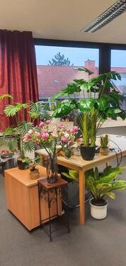 Foto - andere in Hamburg zur Miete