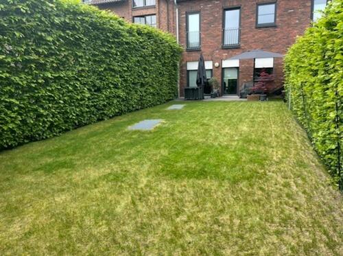 Foto - 2 Zimmer Etagenwohnung zur Miete in Tönisvorst